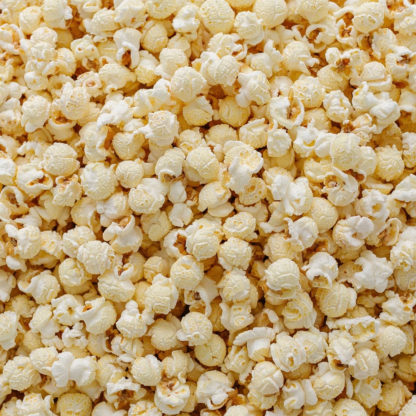 Buttery Salt Popcorn: Photo Bag (12 Month Shelf-Life)