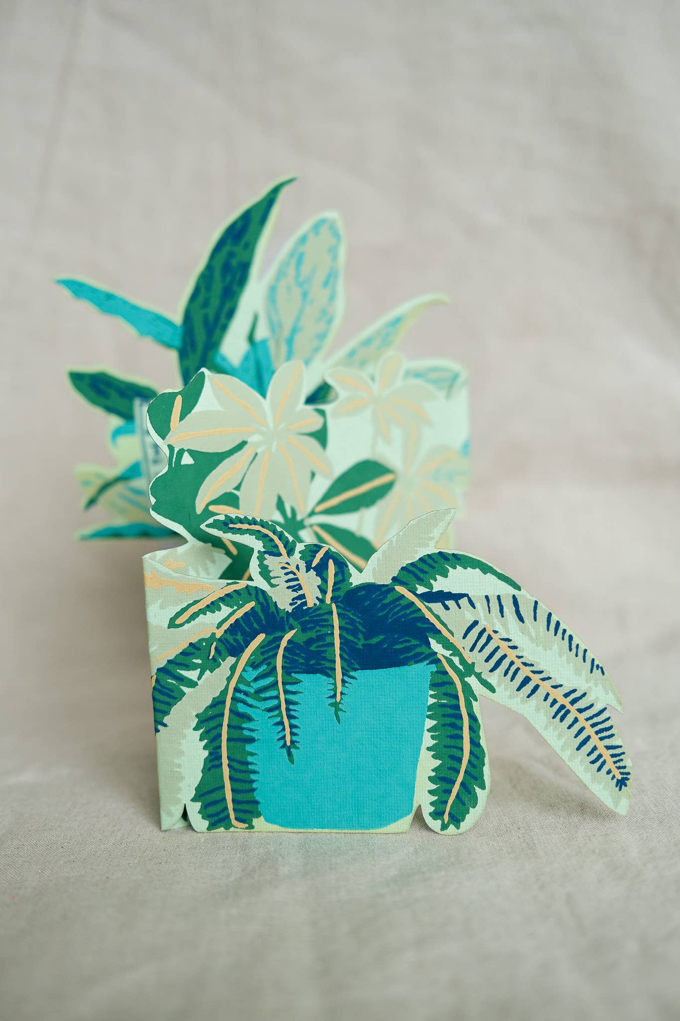 East End Press - Plant Pot Concertina Greeting Card