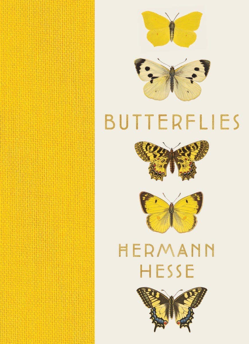 Butterflies: Hardcover