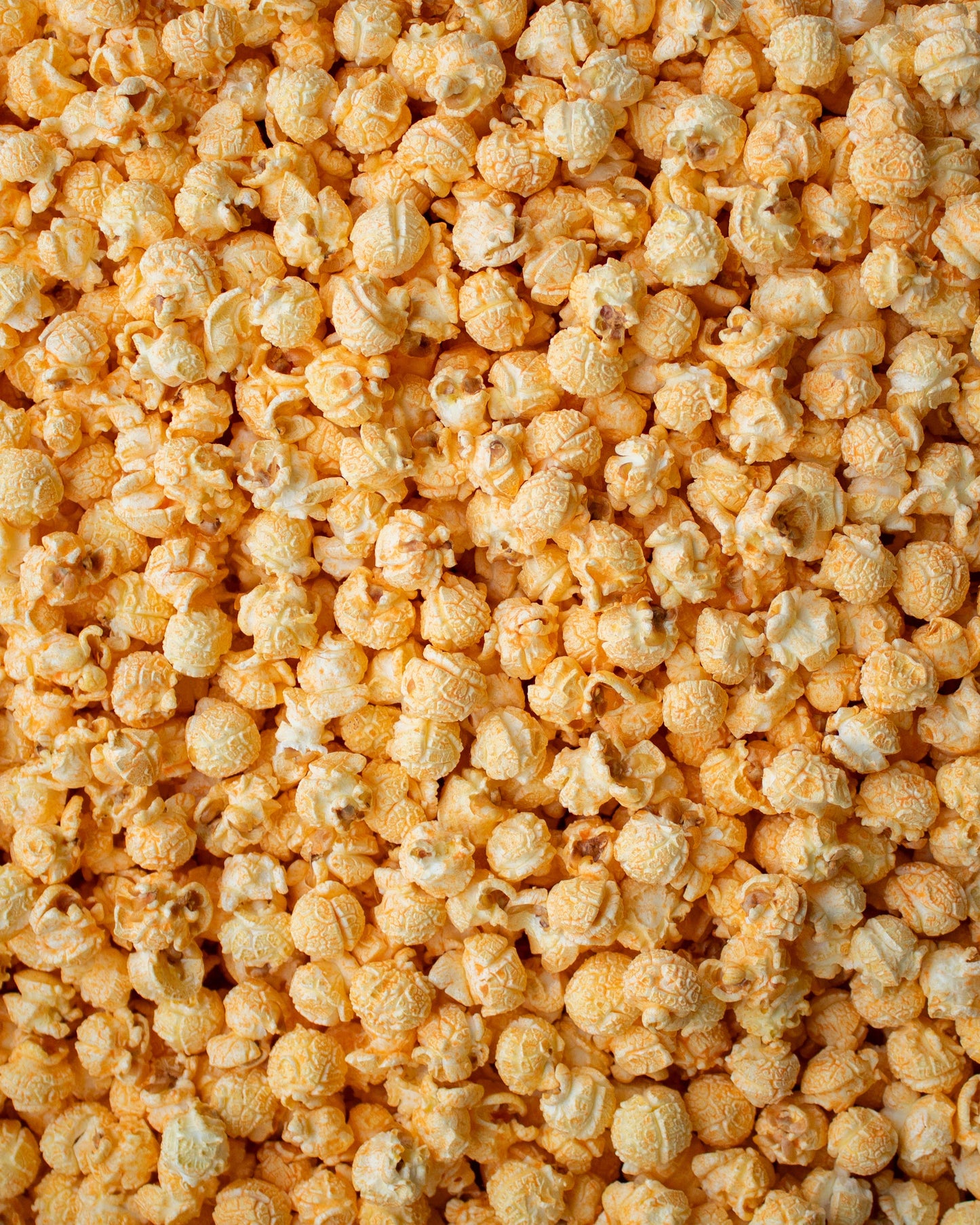 Cheesy Cheddar / Popcorn