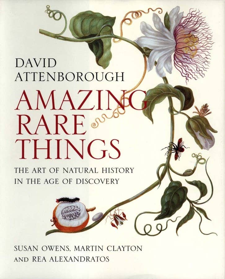 Amazing Rare Things: The Art of Natural History in the Age: Paperback