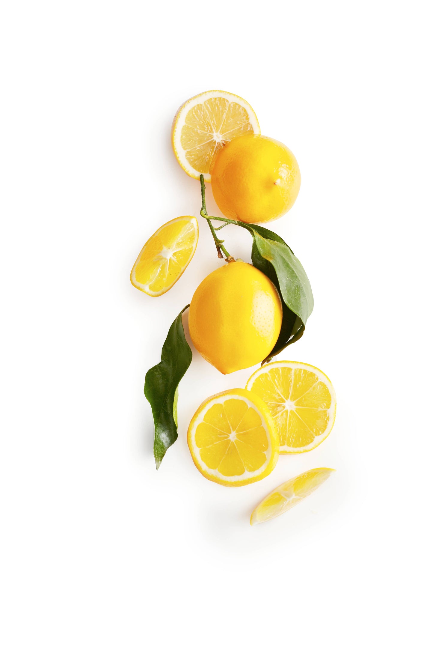 Meyer Lemon Shortbread