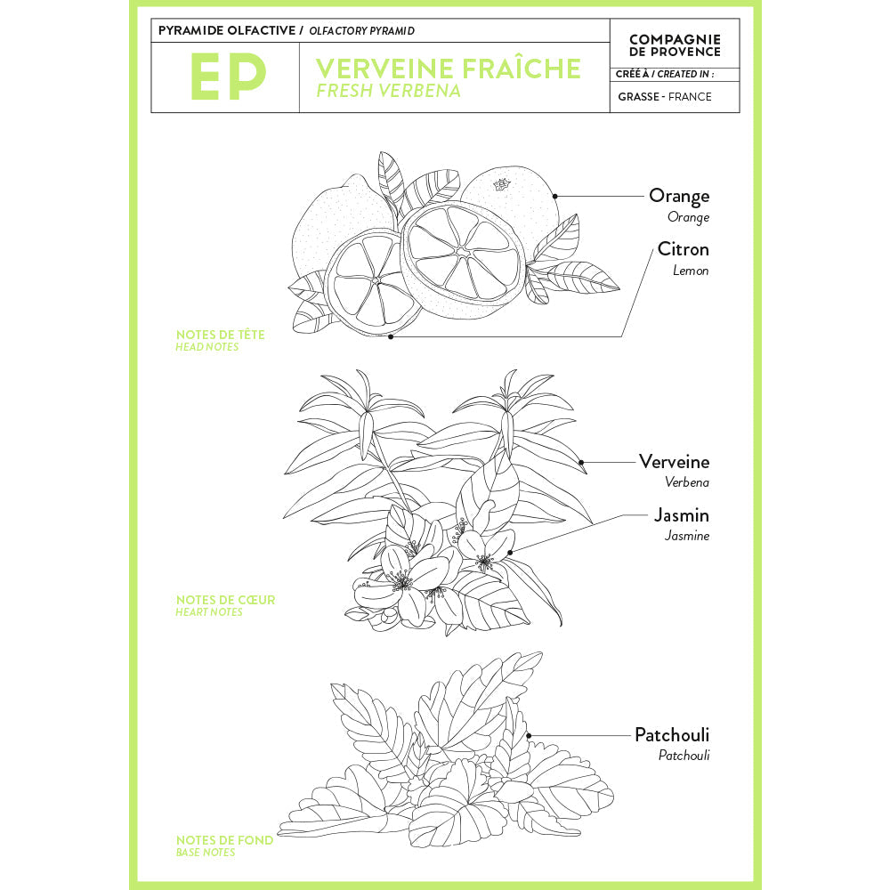Liquid Soap Fresh Verbena 16.7 oz