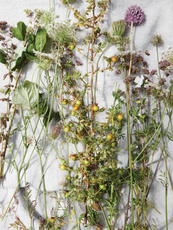 Cannelle et Vanille Bakes Simple