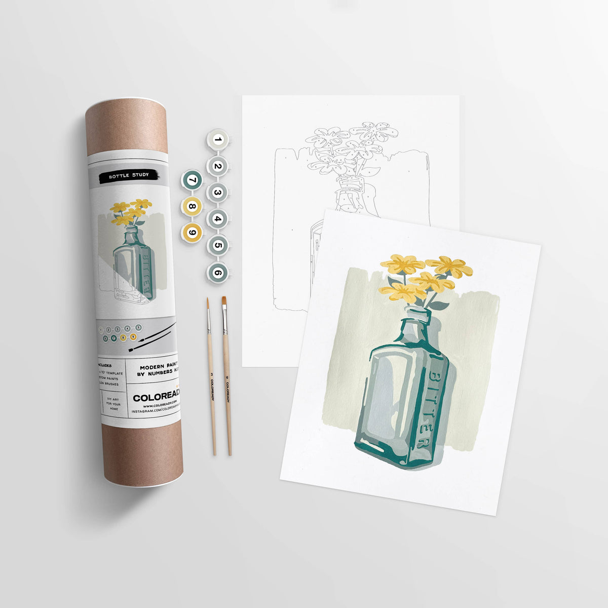 Bottle Study | Modern Paint By Numbers Kit