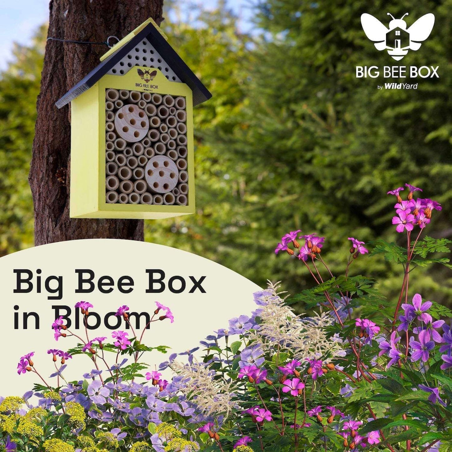 Bee House Bamboo Pollinator Habitat Garden Outdoor Box