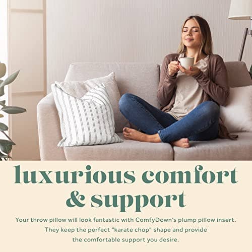 ComfyDown Decorative Throw Pillow Insert, Down - Square: 24X24