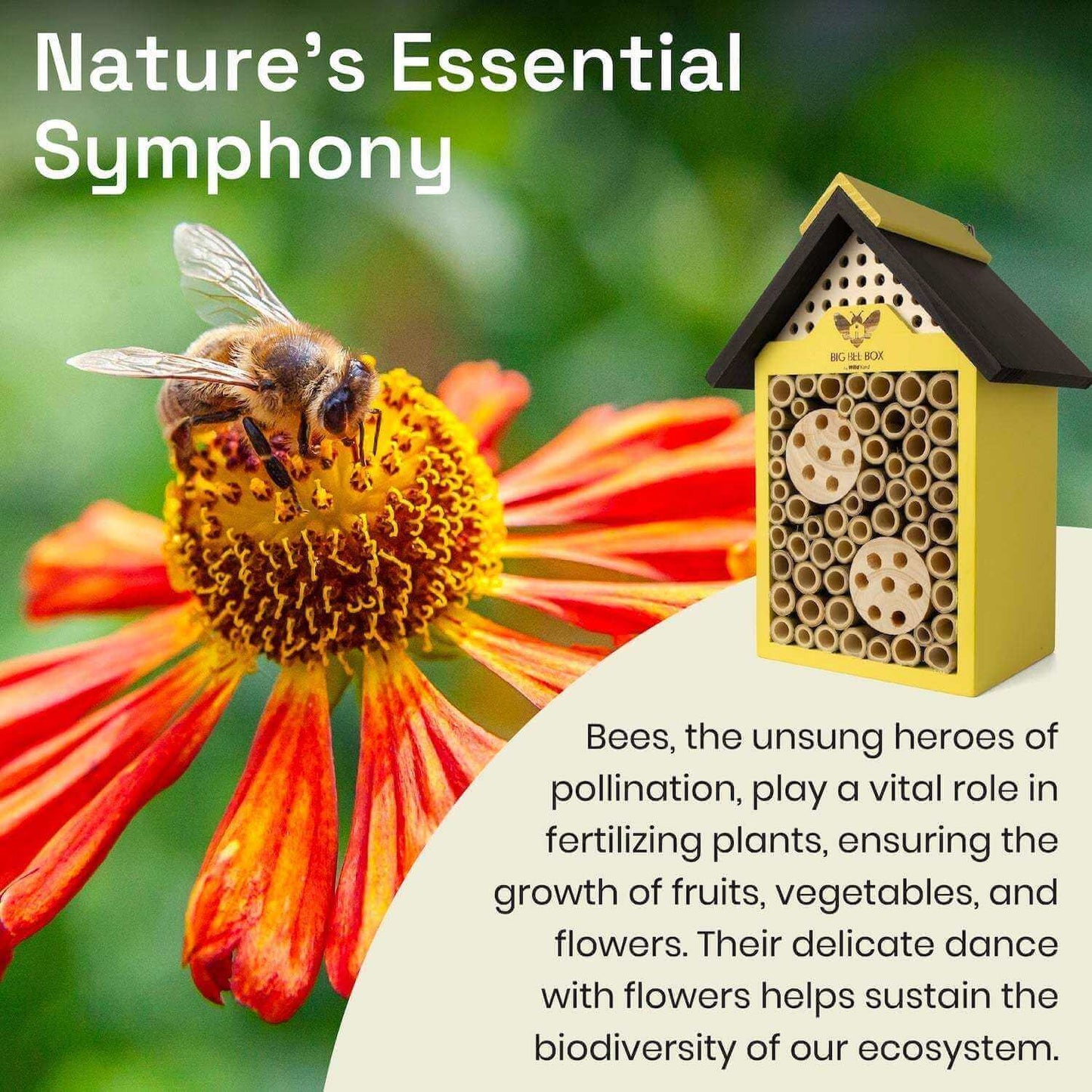 Bee House Bamboo Pollinator Habitat Garden Outdoor Box