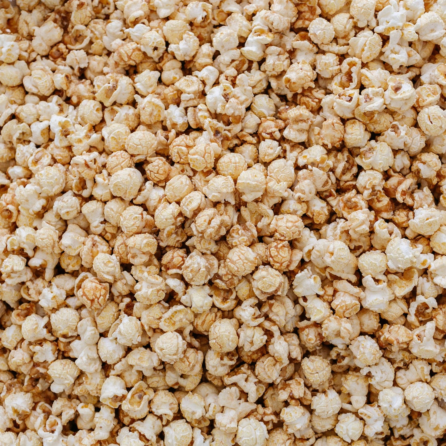 Sea Salted Brûlée Popcorn: Photo Bag (12 Month Shelf-Life)