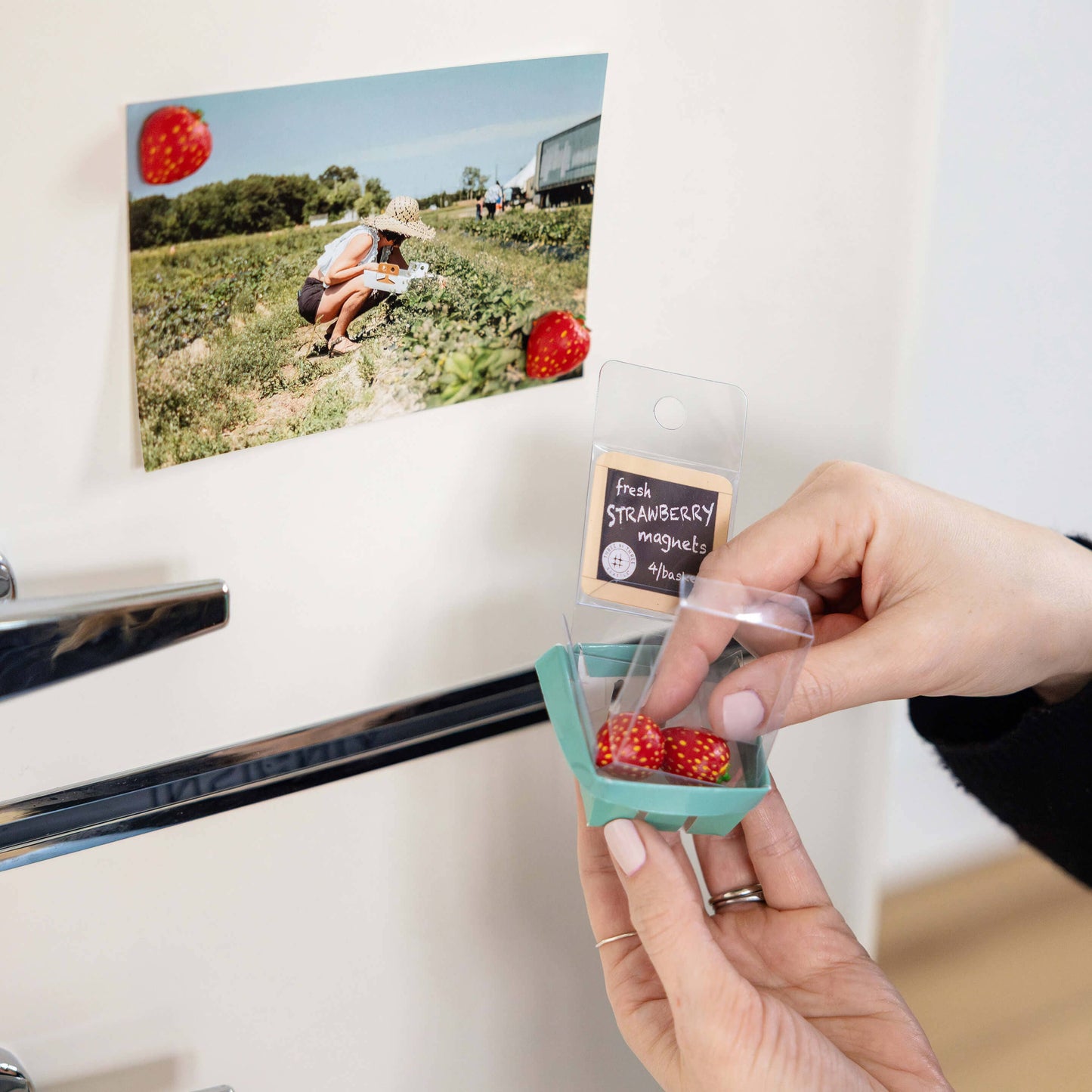 Strawberry Magnets