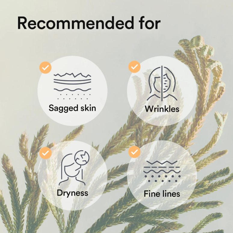 ABIB Collagen Gel Face Mask Vegan: Jericho Rose