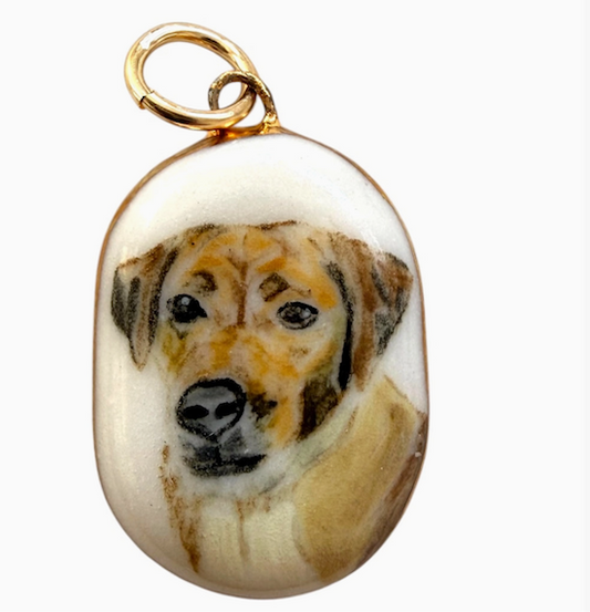 Companion Charms