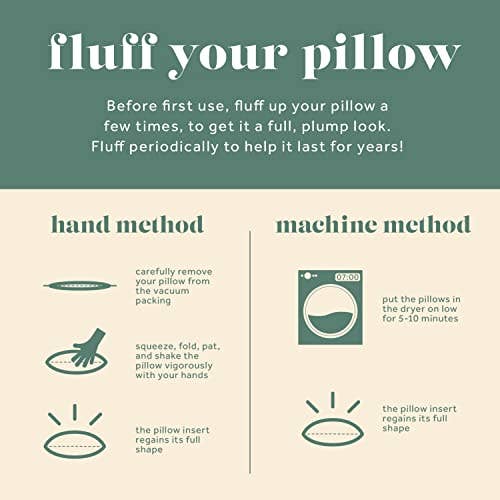 ComfyDown Decorative Throw Pillow Insert, Premium- Rectangle: 16X22