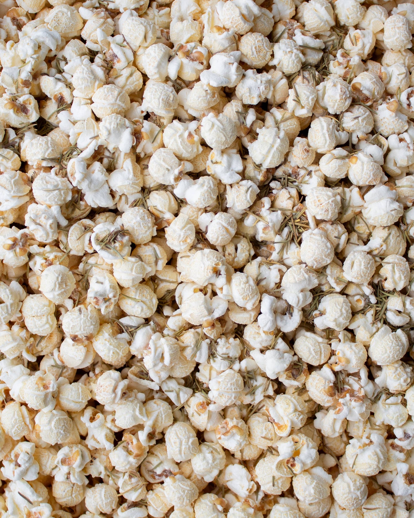 Rosemary Parm Popcorn: Photo Bag (12 Month Shelf-Life)