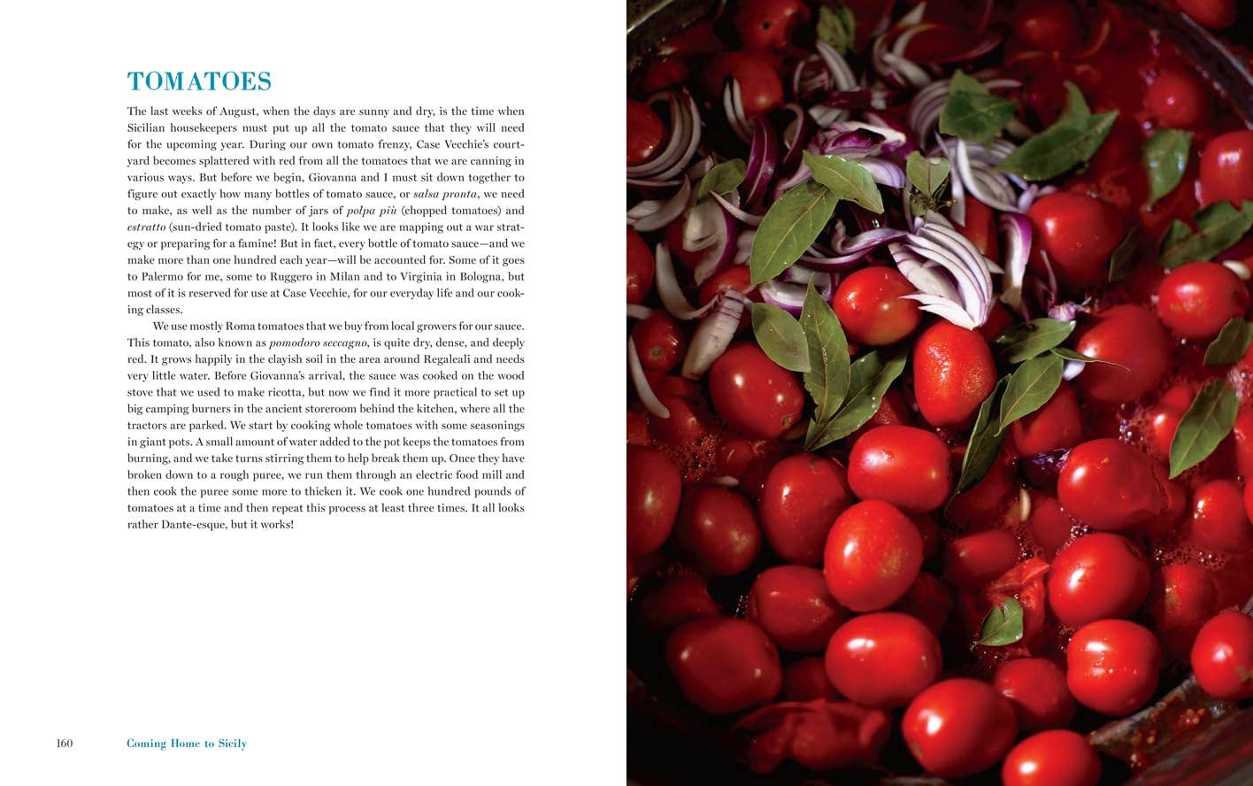 Coming Home to Sicily Cookbook by Fabrizia Lanza