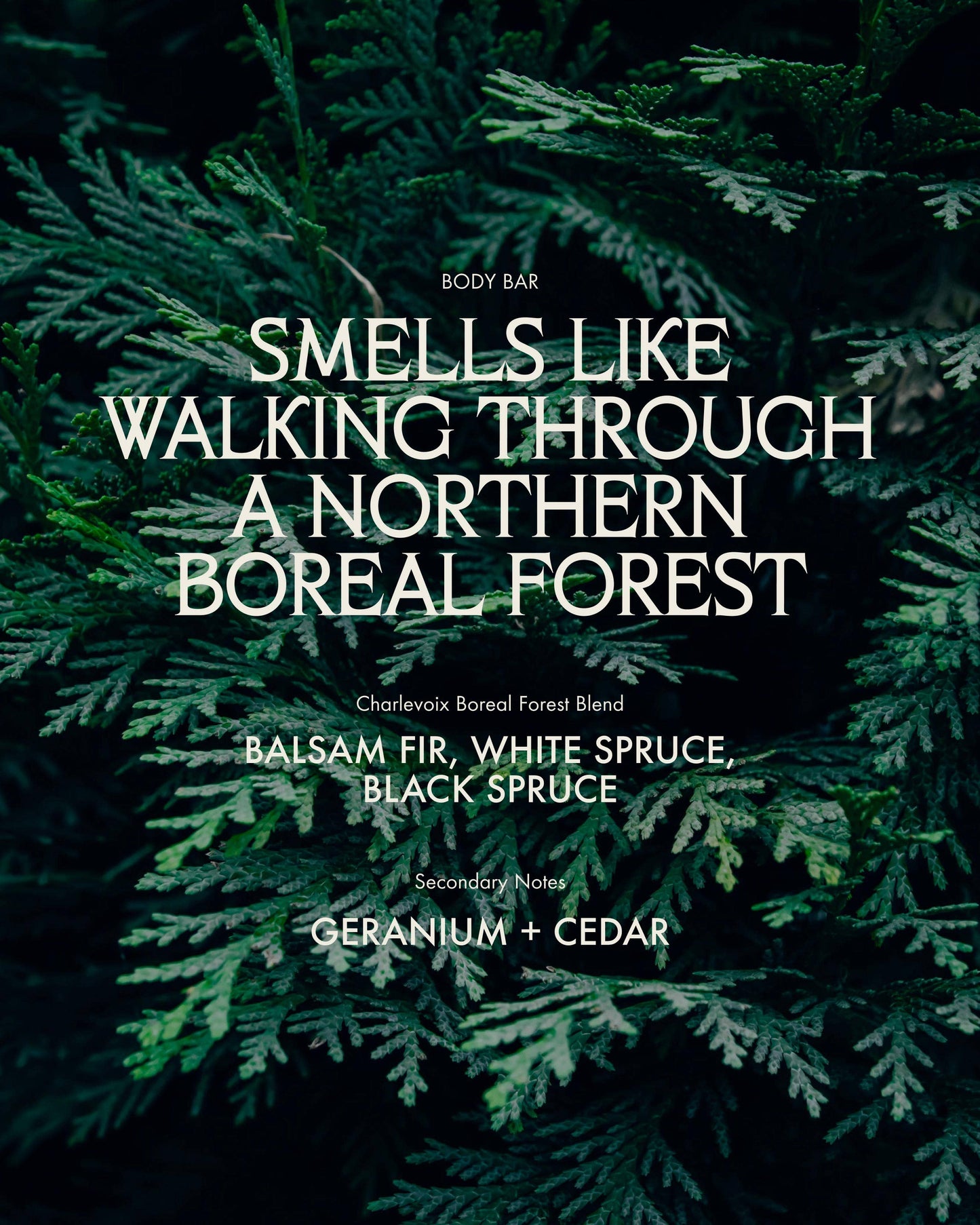Body Bar, Charlevoix Boreal Forest Blend (90g)