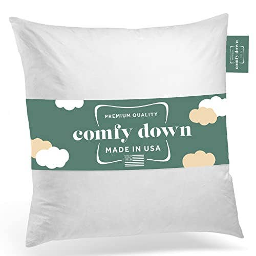 ComfyDown Decorative Throw Pillow Insert, Down - Square: 21X21