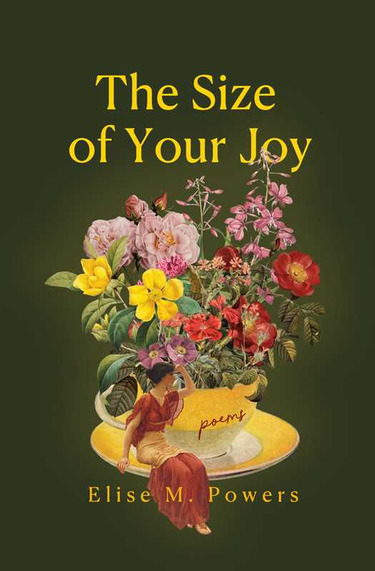 Size of Your Joy by Elise Powers: Paperback; 128 pages / English