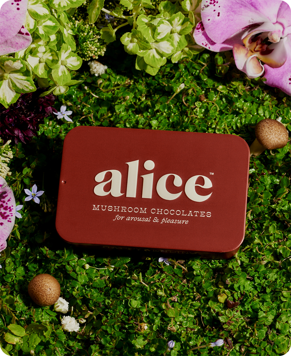 Alice Mushrooms - Happy Ending - mushroom chocolate for arousal